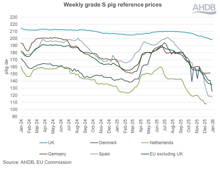 Graph showing EU grade S pig prices 4 January 2026.